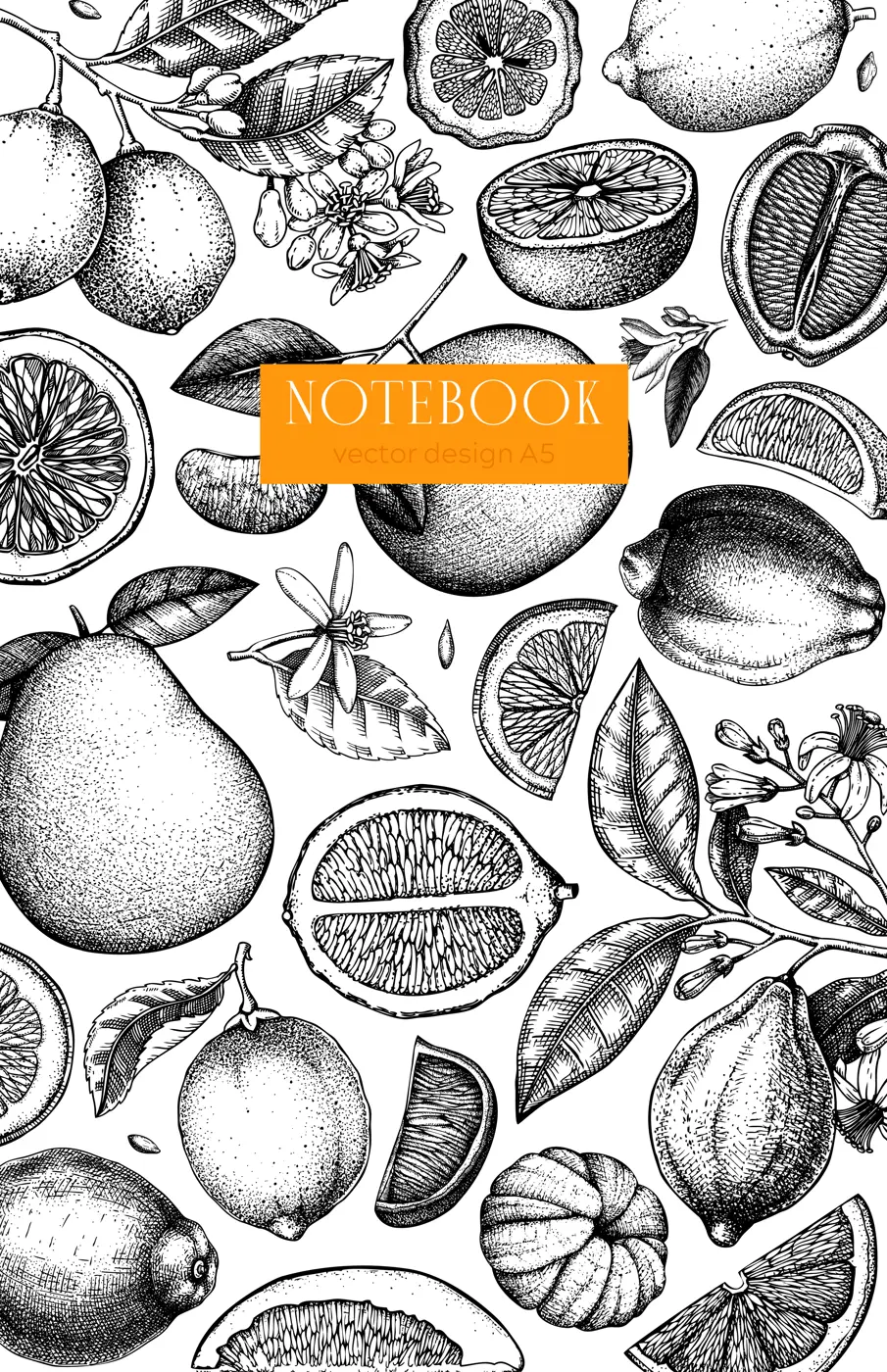Citrus fruit cover design. Hand drawn vector illustration. Healthy food sketches. Engraved summer background. NOT AI generated Illustration
